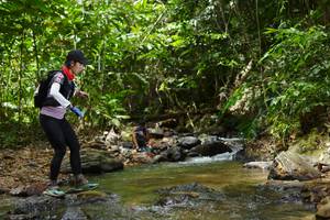 BIB: 
                            <button type="button" onclick="openModal(21848118)" class="btn btn-primary btn-sm float-right btn-popup" data-toggle="modal" data-target=".modal-high-quality">
                        <i class="fas fa-shopping-cart"></i> Add to Cart
                    </button>
                                            <button type="button" onclick="isThisMe(21848118, true)" class="btn btn-success btn-sm float-right btn-popup btn-isme hidden" data-toggle="tooltip" data-placement="bottom" title="นี่คือรูปของคุณใช่ไหม คลิกที่นี่เพื่อเอาเข้าอัลบั้ม">
                        <i class="fas fa-plus"></i> Add to album
                    </button>
                    <button type="button" onclick="isThisMe(21848118, false)" class="btn btn-warning btn-sm float-right btn-popup btn-isnotme hidden">
                        <i class="fas fa-ban"></i> Remove from album
                    </button>